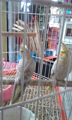 20160216_183425.thumb.jpg.fa9b215a8e9c69