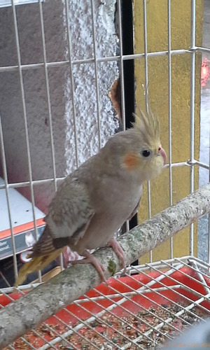 20160216_183542.thumb.jpg.034f7db7e6391b