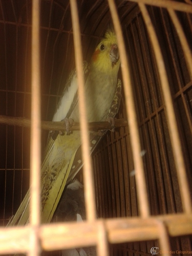 20160227_132909.thumb.jpg.a2cfa87925ddc4