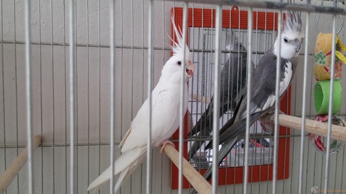 20160229_114638.thumb.jpg.c4f88de2ac7a02