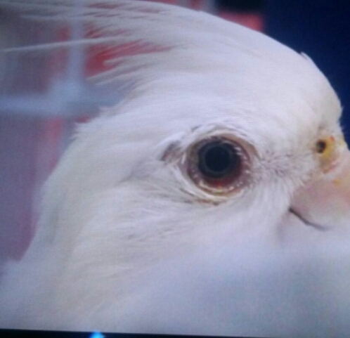 56ba9bbf45e87_2016-02-1000.06.49.thumb.j