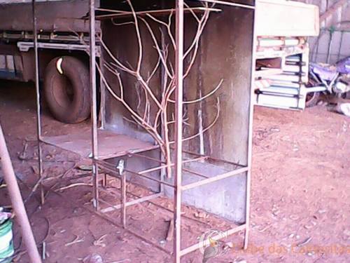 56bcd4f7eeb7f_Viveirocomeo.thumb.jpg.696