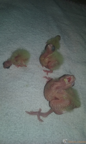 20160220_111229 (1).jpg