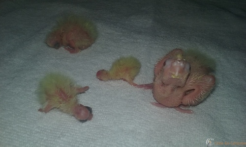 20160220_111614 (1).jpg