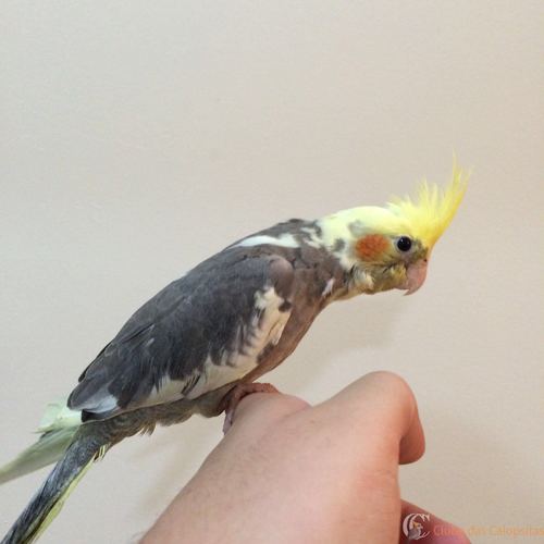 201602231240169 (1).jpg