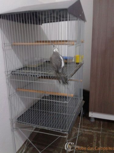 54704b83-6d48-416e-8f3e-7cae657e7a82 (1).jpg