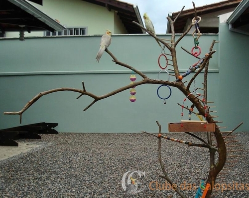 56d09fcf11cb6_psitaonline23-03-2013(01)-