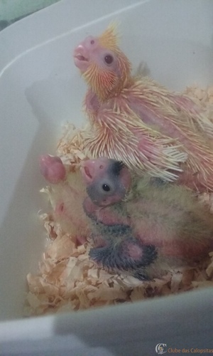 20160225_150245 (1).jpg