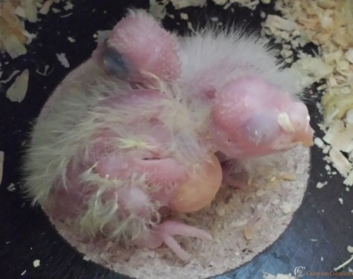 20160228_083351 (2).jpg