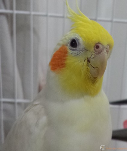 20160228_192213 (2).jpg