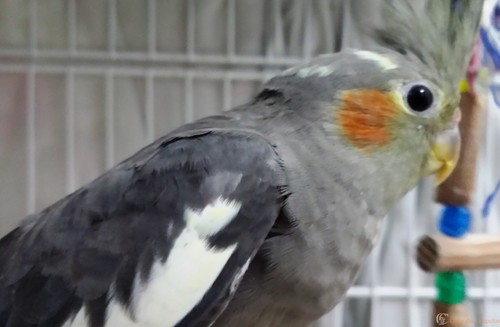 20160228_192450 (2).jpg