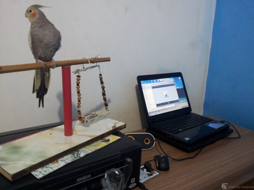 IMG_20141014_184542.thumb.jpg.d461301f87