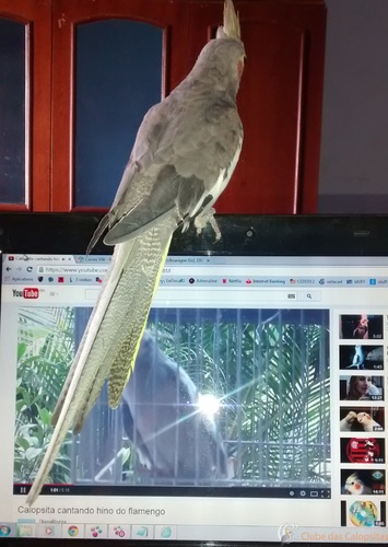 IMG_20141110_151138250.thumb.jpg.a6308a4