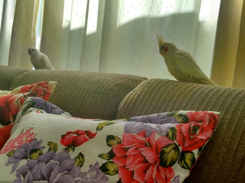 IMG_20160202_090958122_HDR.thumb.jpg.9f2