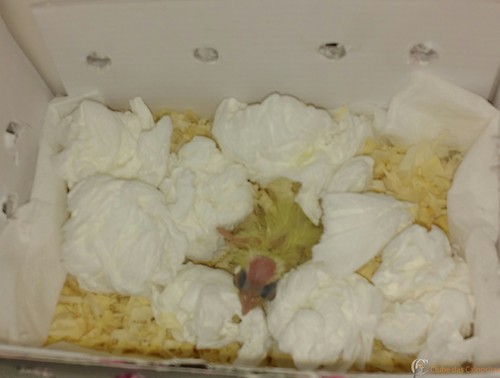 IMG_20160225_142228.thumb.jpg.b7adb4050c