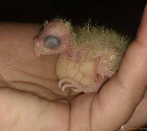 IMG_20160226_233353.thumb.jpg.6f7a18b1d0