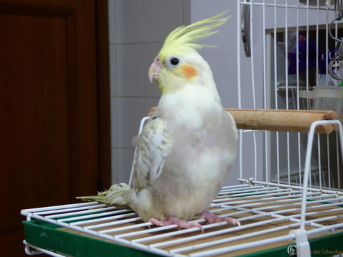 P1020581.thumb.JPG.13fe14a9c58cc0079078d