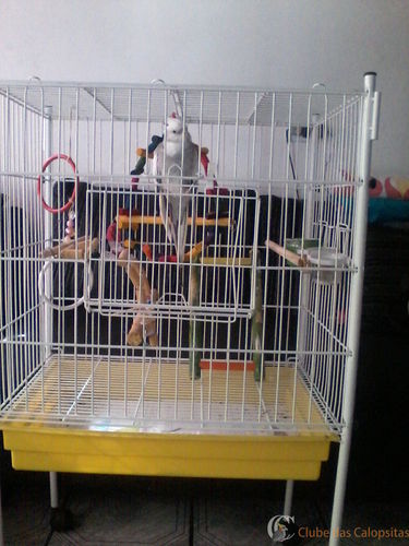 P12-02-16_09.21.thumb.jpg.bedd6526eb44a4