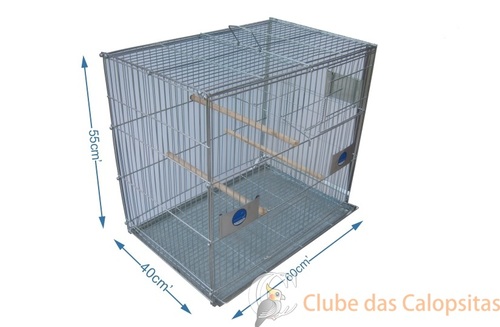 gg.thumb.jpg.d6bf2263786711f9920a1989d1b