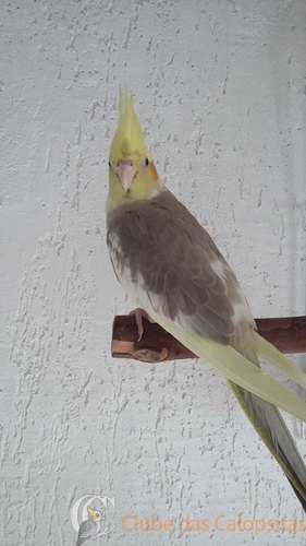 12476529_589975117820100_285512078_n.thu