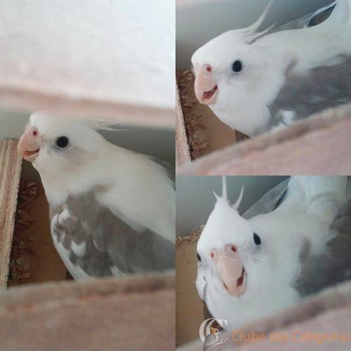 12498940_590005914483687_779579773_n.thu