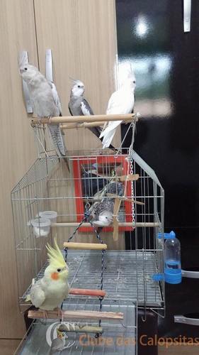 12822036_966188833449490_1101898817_n.th