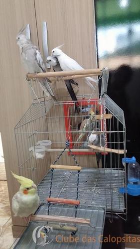 12822050_966188633449510_1953349017_n.th