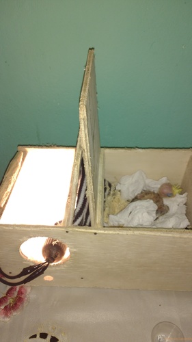 1458243916943-1956174195.thumb.jpg.db578