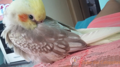 20150915_143603.thumb.jpg.74a50015ee4310