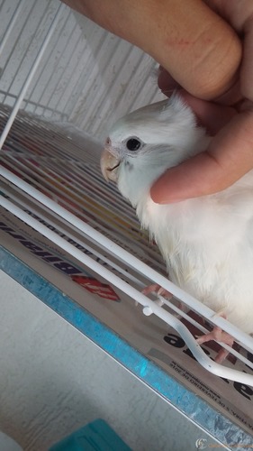 20160302_145319.thumb.jpg.e61ef7d8d3f73b