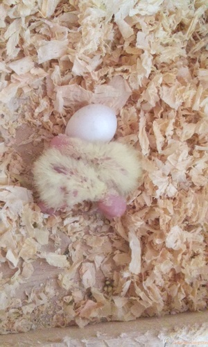 20160314_071302.thumb.jpg.b6b937d7133b7f