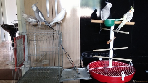 20160314_125308.thumb.jpg.47878bfb7f6f3c