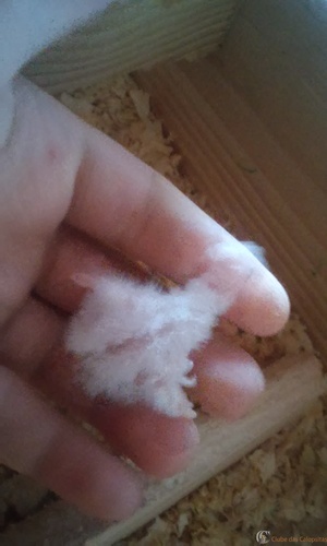 20160317_064949.thumb.jpg.292be57a289cae