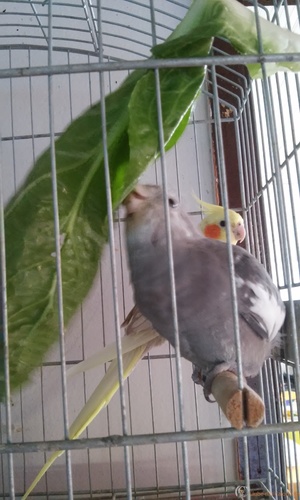 20160318_082635.thumb.jpg.48991602eb3472