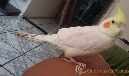 20160325_141255.thumb.jpg.22dfd824d248fd