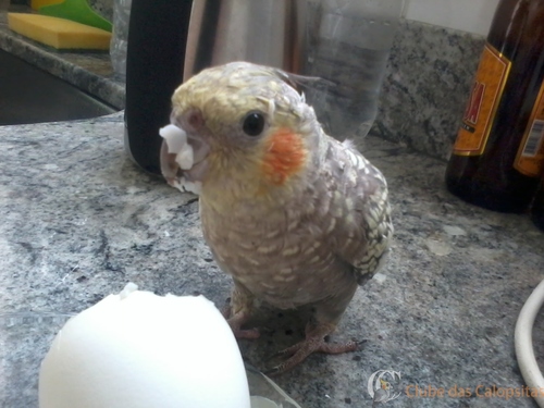 56d7334546dad_2016-02-1809.59.42.thumb.j