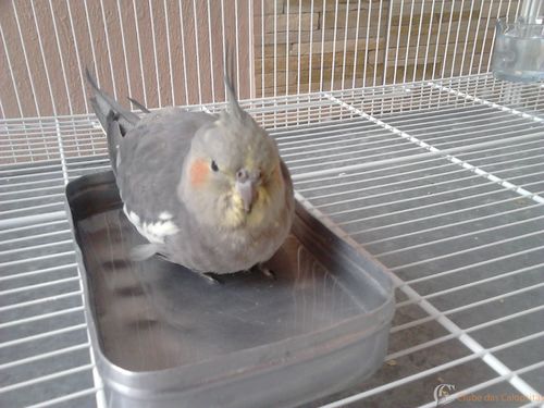 56d73988d23f5_me.thumb.jpeg.91395f93a45d