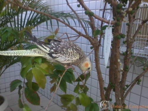 2016-02-02 19.14.55.jpg