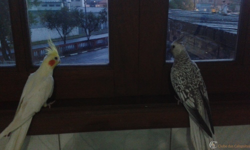 2015-04-15 18.04.27.jpg