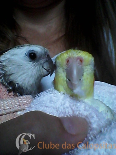 2016-02-06 18.05.13.jpg