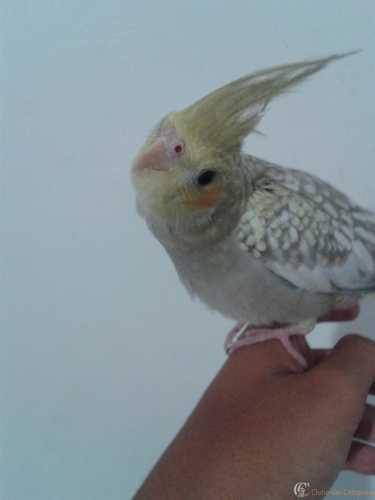 Pose u.u  (1).jpg