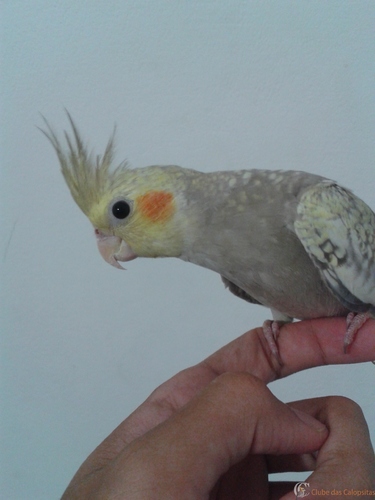 56e0cf4cf3390_Poseu.u(2).thumb.jpg.feab0