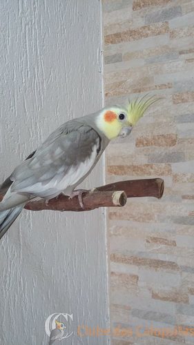 56e0cf5639b0d_Matrizes12.thumb.jpg.07fc8