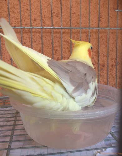 WP_20160305_10_29_32_Pro 1.jpg