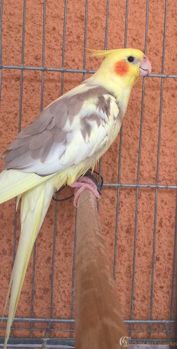 WP_20160305_10_29_59_Pro 1.jpg