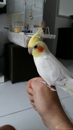 20160229_143231_resized (1).jpg