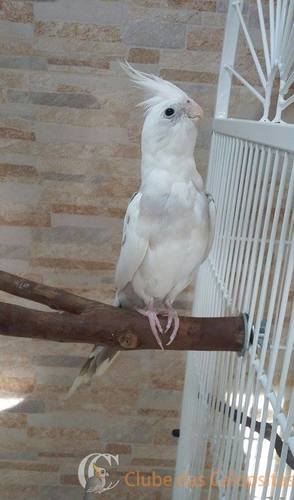 56f037eb44914_family(14).thumb.jpg.215f8