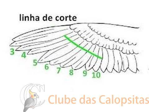 C__Data_Users_DefApps_AppData_INTERNETEXPLORER_Temp_Saved Images_images(1).jpg