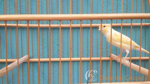 56f5d83e88982_family(7).thumb.jpg.898133