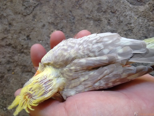 IMG_20160328_113259400 (1).jpg